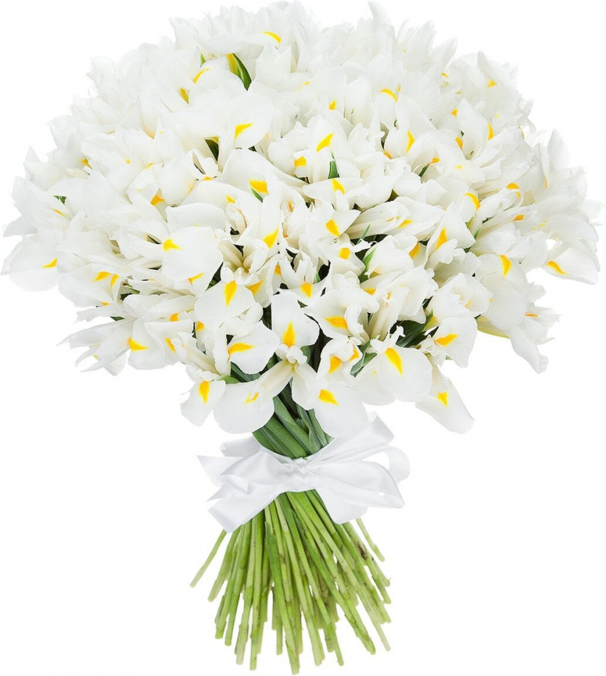 Белые ирисы Белые ирисы